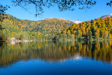 Natural life and autumn landscapes in Rize, Artvin, Savsat highlands