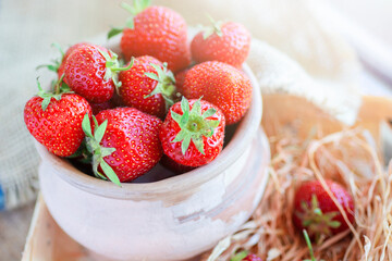 fresh farm strawberries. organic berries - space for advertising text