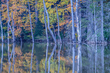 Natural life and autumn landscapes in Rize, Artvin, Savsat highlands