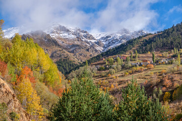 Natural life and autumn landscapes in Rize, Artvin, Savsat highlands