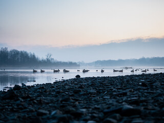 River Sunrise