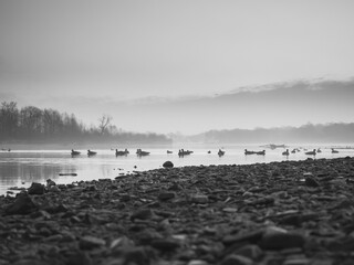 River Sunrise