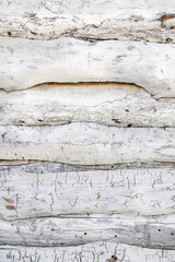 An old damaged and affected by woodworms wooden wall painted in white as an abstract background