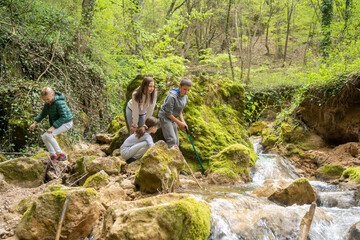 Discovering Nature: Children Hiking Through a Beautiful Forest, Exploring the Wild