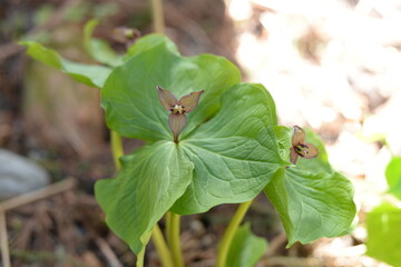 2023_戸隠神社・信濃善光寺