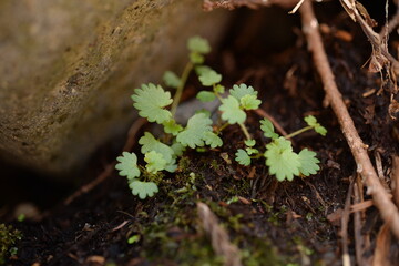 2023_戸隠神社・信濃善光寺