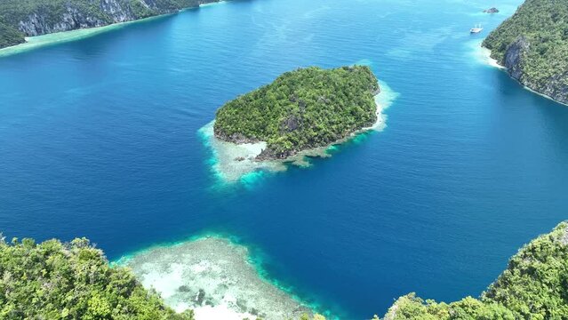 Healthy fringing coral reefs grow around the dramatic limestone islands that rise from Raja Ampat's seascape. This remote part of Indonesia is known for its incredibly high marine biodiversity.