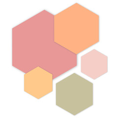 Set of Colorful Hexagons