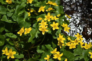2023_戸隠神社・信濃善光寺
