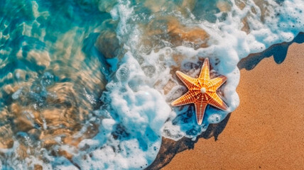 Fototapeta na wymiar starfish on a beach