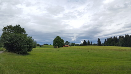 bäuerliche Landschaft mit grüner Wiese und Bäumen 
in Bayern 