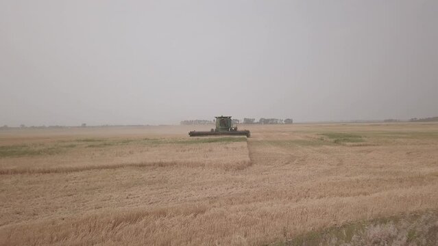 aerial footage of green combine harvesting barley in north dakota in summertime