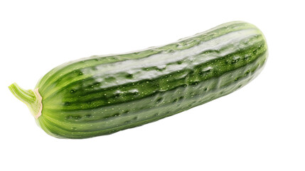 an isolated single cucumber, garden-themed, photorealistic illustration on a transparent background cutout in PNG. Generative AI