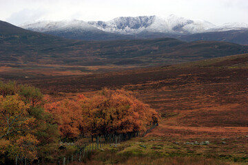 View of Lochnagar - Balmoral estate - Braemar - Scotland - UK