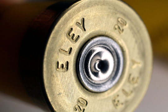 Bullet - cartridge - detail over white background