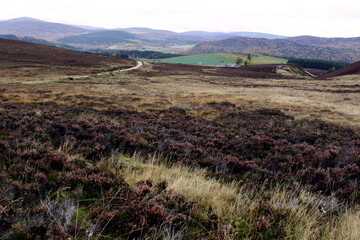 Scottish moors - Lochnagar moutain range in the distance - Balmoral estate - Royal deeside - Scotland - UK