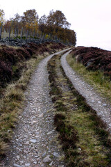 Fototapeta na wymiar Scottish moors - Lochnagar moutain range in the distance - Balmoral estate - Royal deeside - Scotland - UK