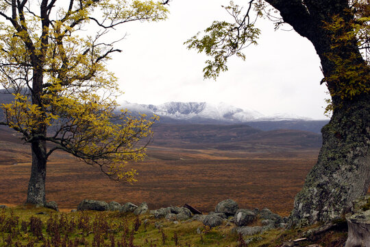 Scottish moors - Lochnagar moutain range in the distance - Balmoral estate - Royal deeside - Scotland - UK