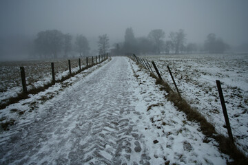 Glen Tanar under snow and fog - Glen tanar estate - Aberdeenshire - Scotland - UK