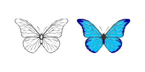 Fototapeta premium Butterflies. Hand drawn blue and black butterflies. Vector scalable graphics