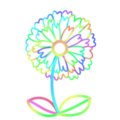 Colorful flowers doodle