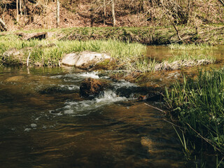 In spring nature. Forest and meadows, a river flows with rapids and a small waterfall