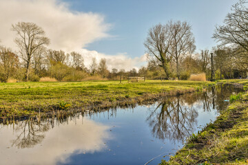 a small pond in the middle of a grassy area with trees and grass on either side of it, there is a blue sky