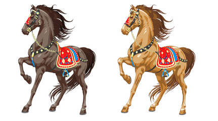 Realistic ethnic horse. Two different colors of the horse