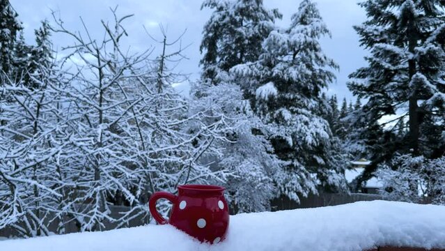 Cup of a hot cocoa on a cabin deck in winter