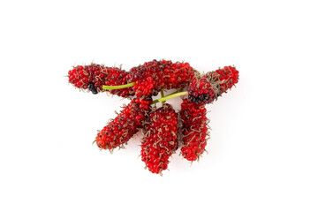 Pile of organic Mulberry fruits isolated on white background