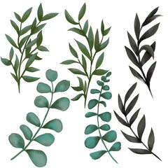 watercolor leafs branches for bouquets,wreaths and frames
