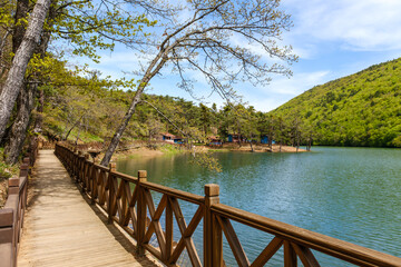 Fototapeta na wymiar wooden boardwalk by the lake, boraboy lake