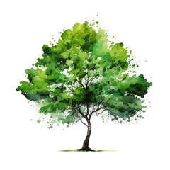 Watercolor green tree, Illustration AI Generative.