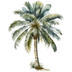 Fototapeta na wymiar Watercolor palm Illustration AI Generative.