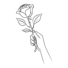 Rose flower on hand. woman holding a rose in her hand. 