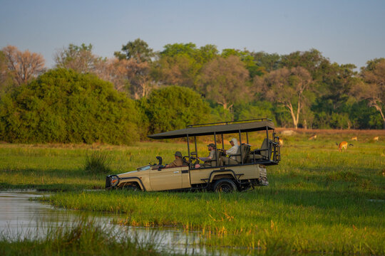 Ein Safari Jeep f&auml;hrt durch das Okavango Flussdelta und versinkt dabei zur H&auml;lfte im Wasser, im Hintergrund grasen Antilopen auf einer gr&uuml;nen Wiese in Botswana, Afrika