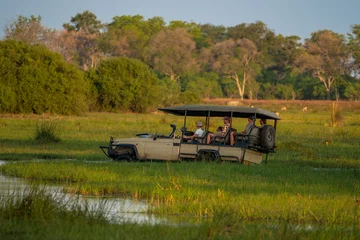 Foto auf Acrylglas Ein Safari Jeep fährt durch das Okavango Flussdelta und versinkt dabei zum Teil im Wasser, im Hintergrund grasen Antilopen auf einer grünen Wiese in Botswana, Afrika © Lars