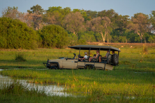 Ein Safari Jeep f&auml;hrt durch das Okavango Flussdelta und versinkt dabei zum Teil im Wasser, im Hintergrund grasen Antilopen auf einer gr&uuml;nen Wiese in Botswana, Afrika