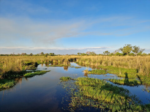 Das gr&uuml;ne Okavango Delta mit seinen freien Kan&auml;len, Seen und Sumpffl&auml;chen in Botswana, Afrika