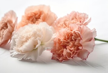 pink carnation flowers, generative ai