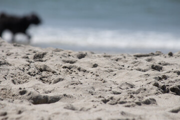 Natural sand texture at the beach on the coast