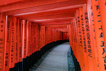Obraz premium japanese shrine