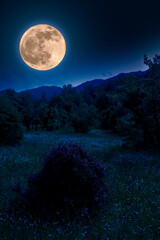 A flower full moon illuminates the mountain, the forest and the flowers in the meadow.