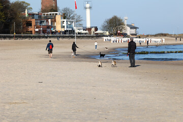 Człowiek z psem na smyczy spaceruje po plaży nad morzem. 