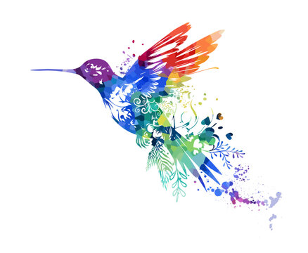Colored flying bird hummingbird. Abstraction. Vector illustration