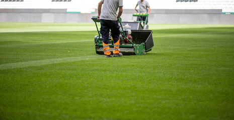 Green grass soccer field	