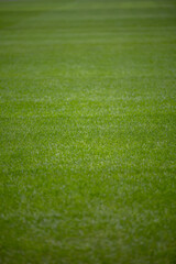 Green grass soccer field	
