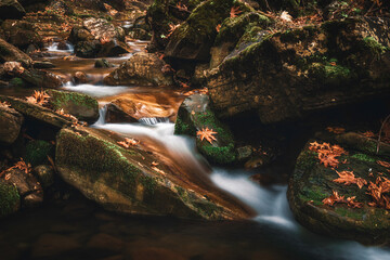 Autumn colors in the leaves by the river shore in long exposure