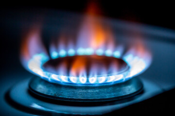 Natural gas used in homes and industry