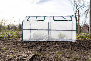little portable film covered greenhouse on ground in village garden in spring